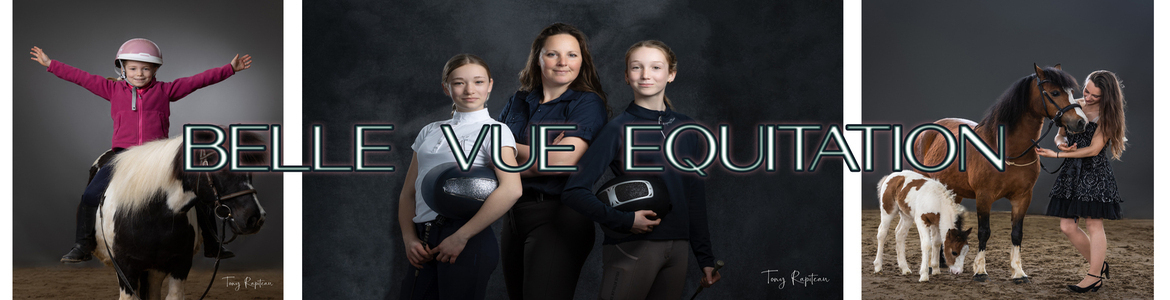 BELLE VUE EQUITATION